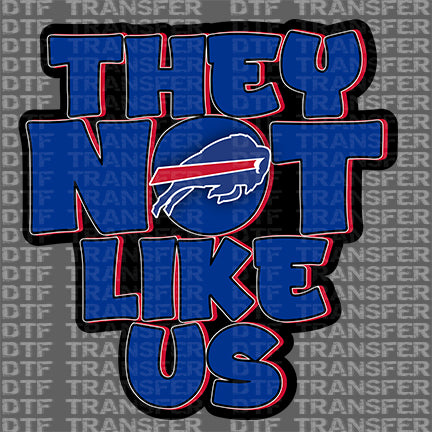 They Not Like Us Iron-on Transfer